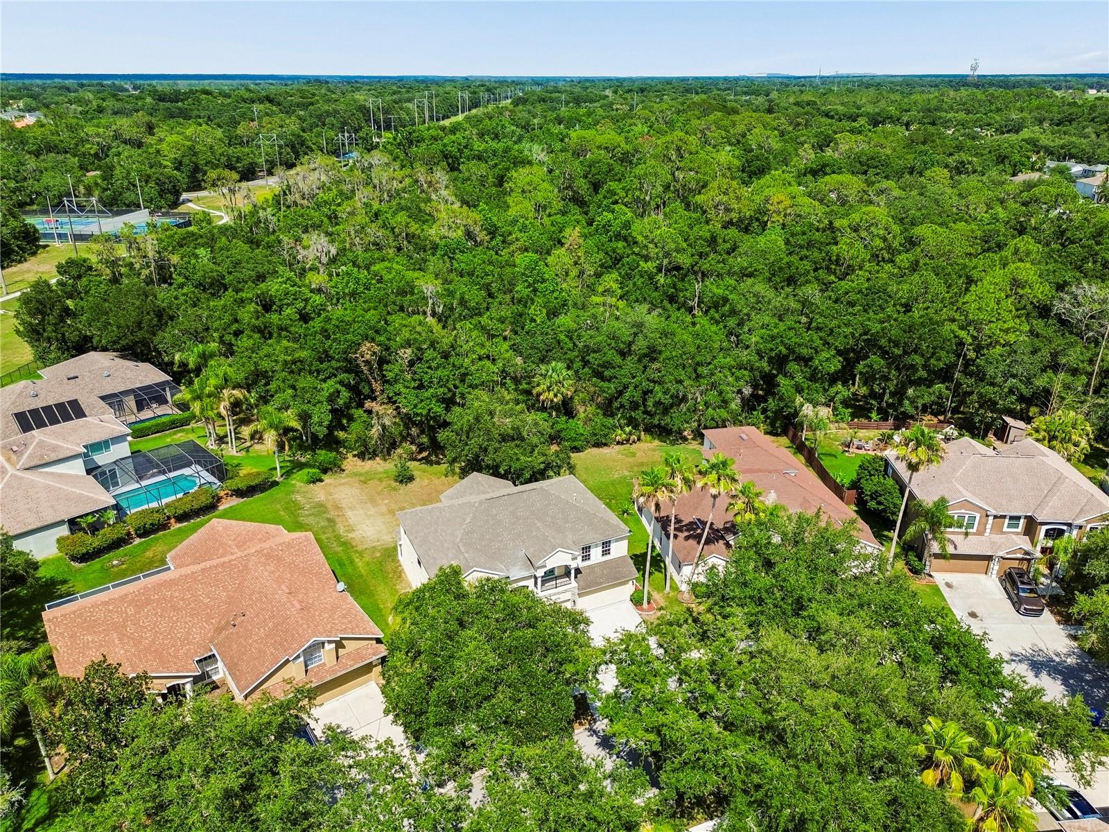 16936 Falconridge Rd Property Photo 80