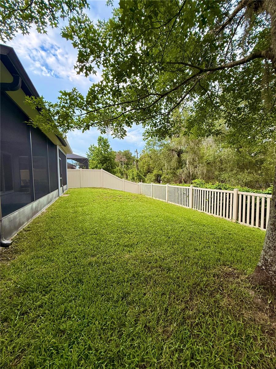 14250 Blue Dasher Dr Property Photo 40