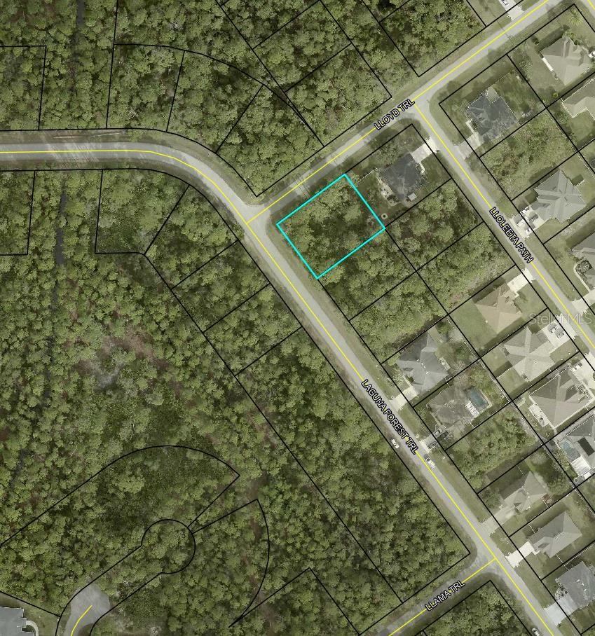 000 Laguna Forest Trl Property Photo 2