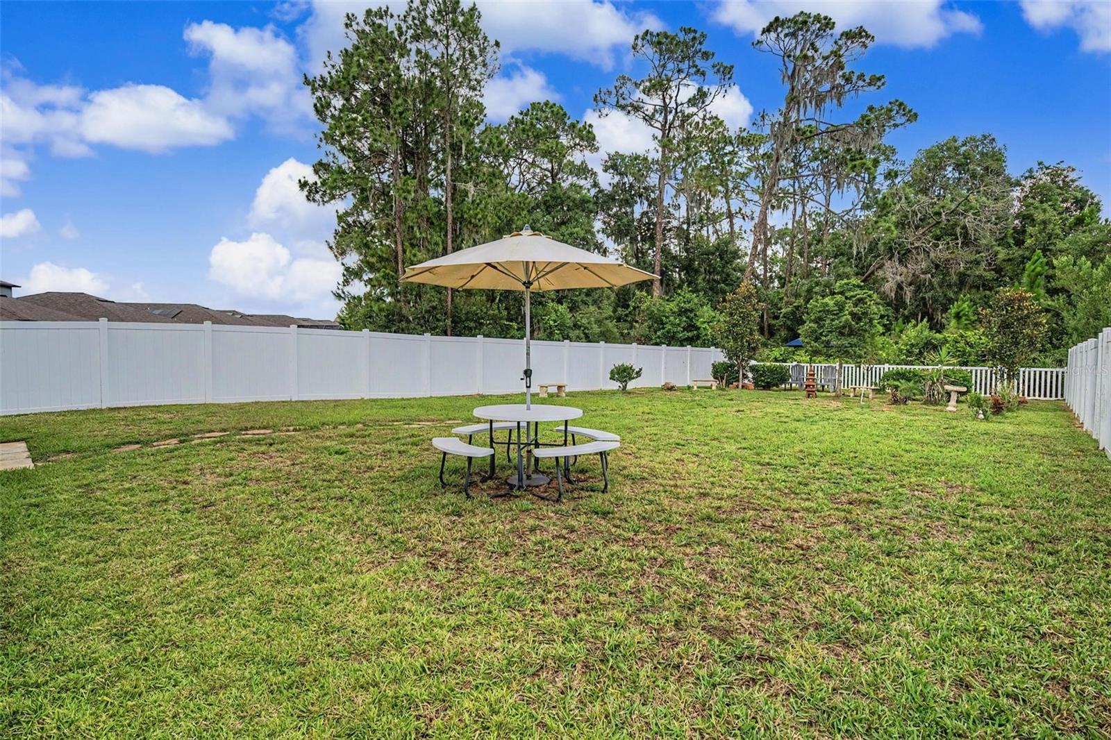 13411 Willow Bluestar Loop Property Photo 31