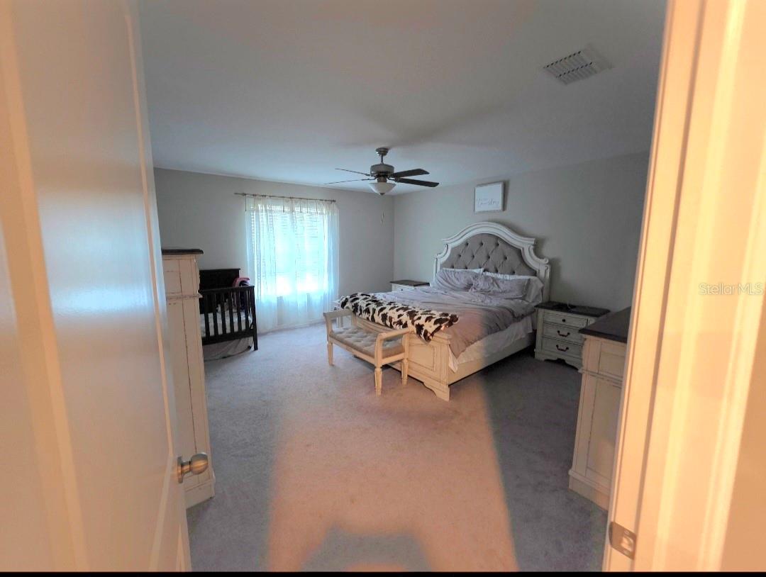 1561 Flower Dust Dr Property Photo 12