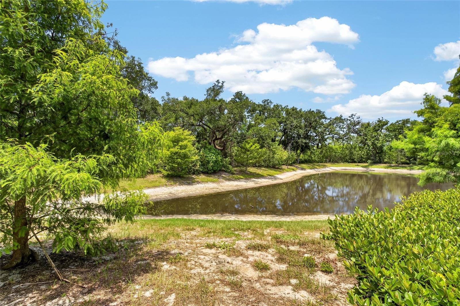 2911 Jacob Crossing Ln Property Photo 2