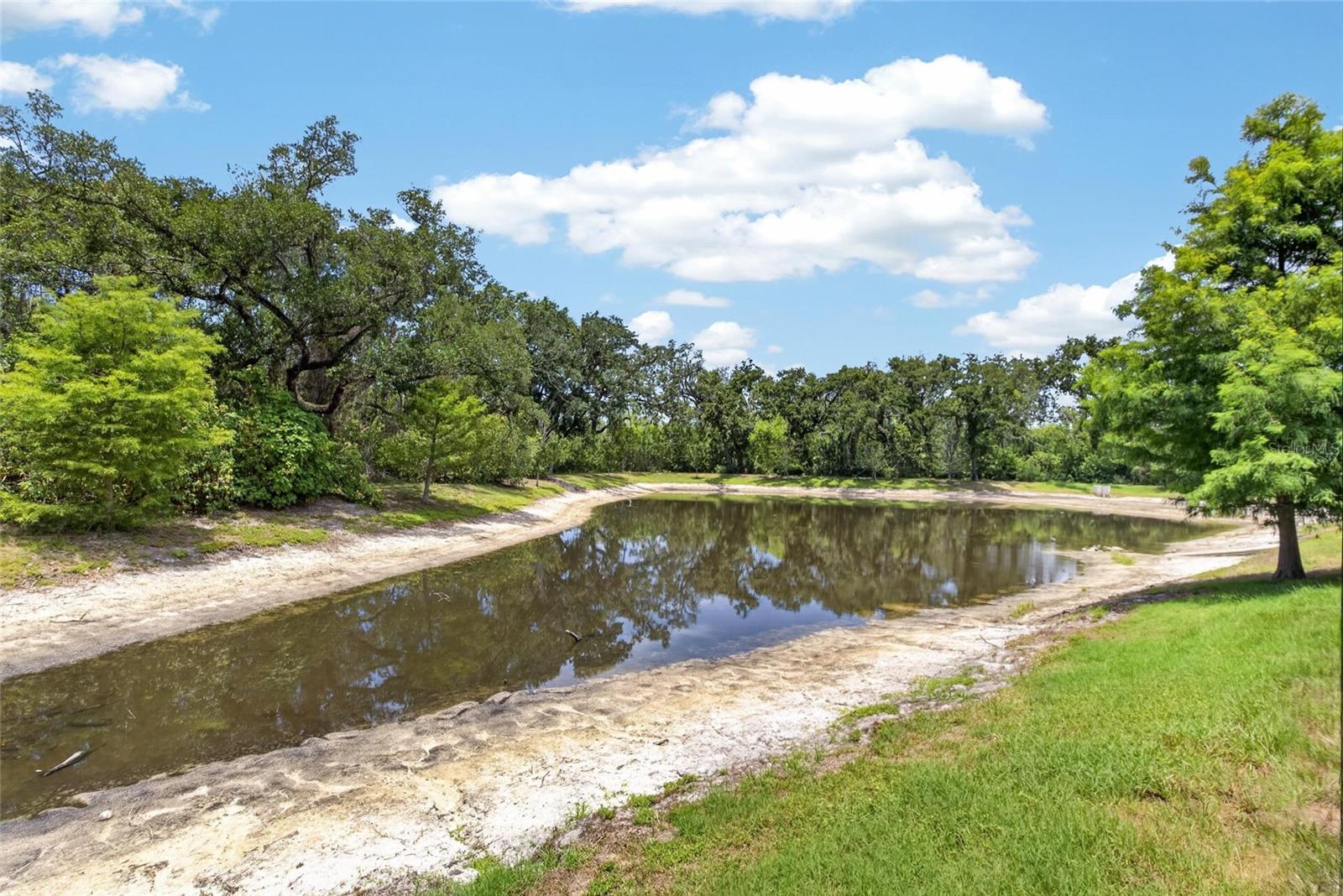 2911 Jacob Crossing Ln Property Photo 43
