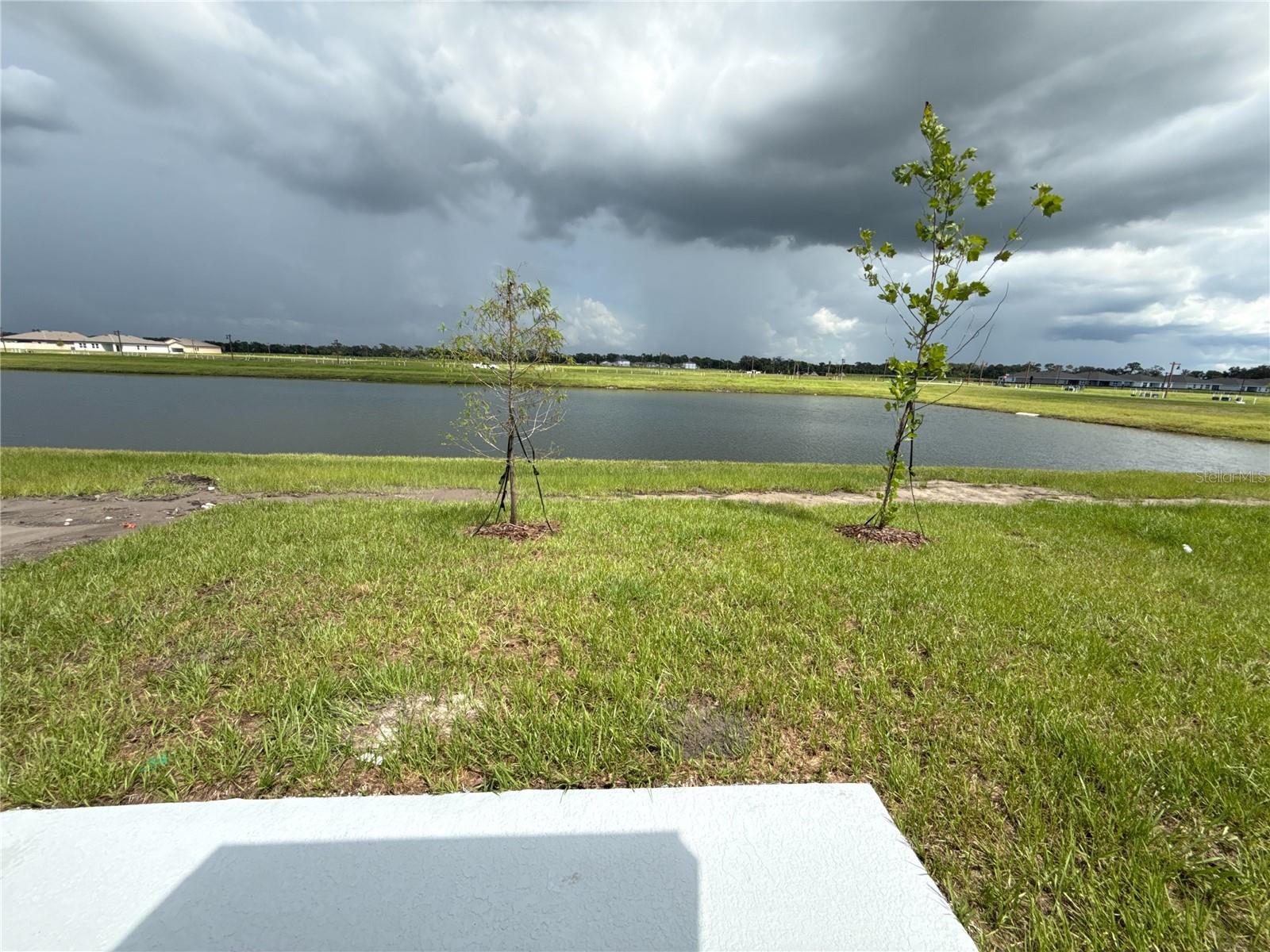 10535 Curving Creek Loop Property Photo 4