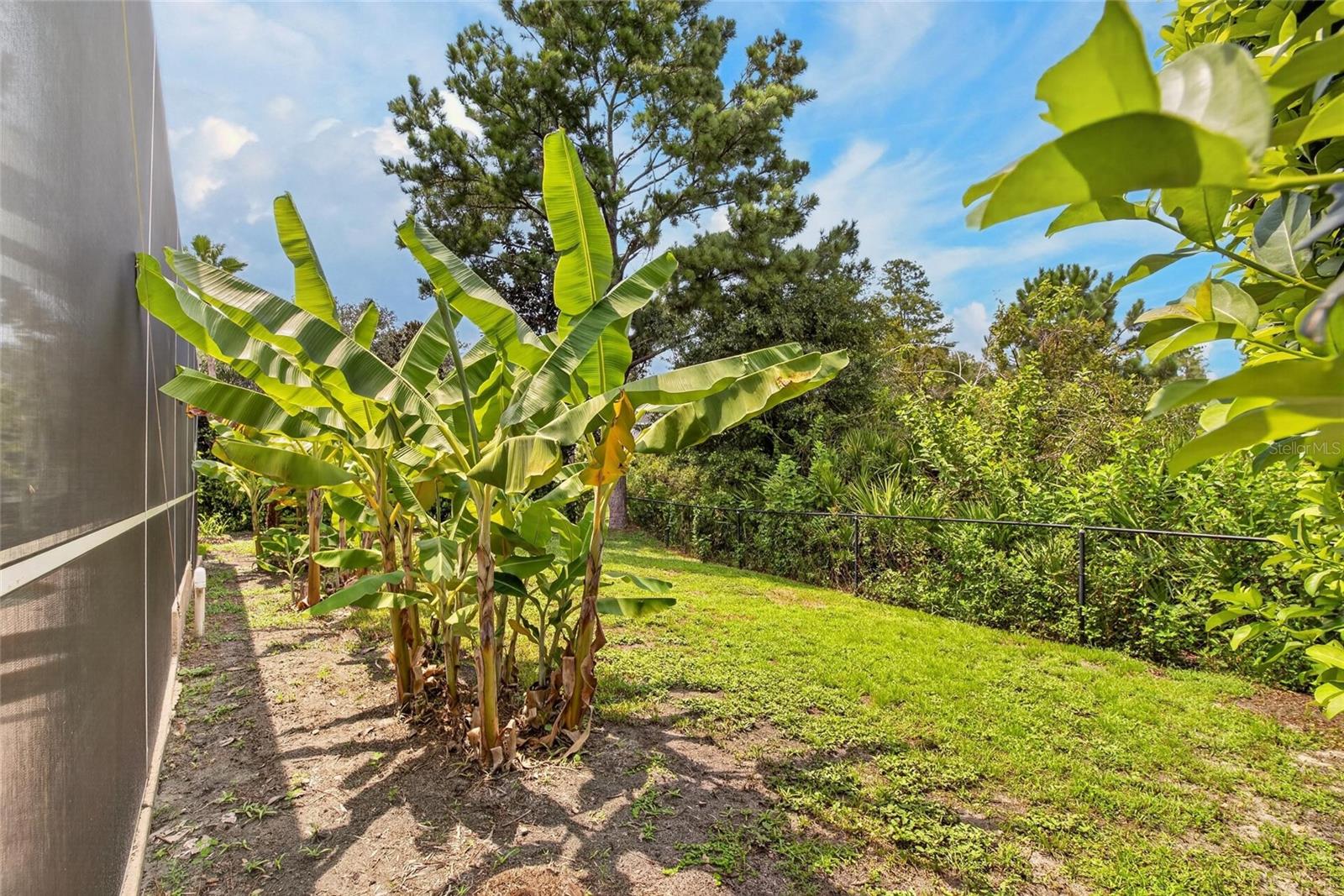10103 Deercliff Dr Property Photo 62
