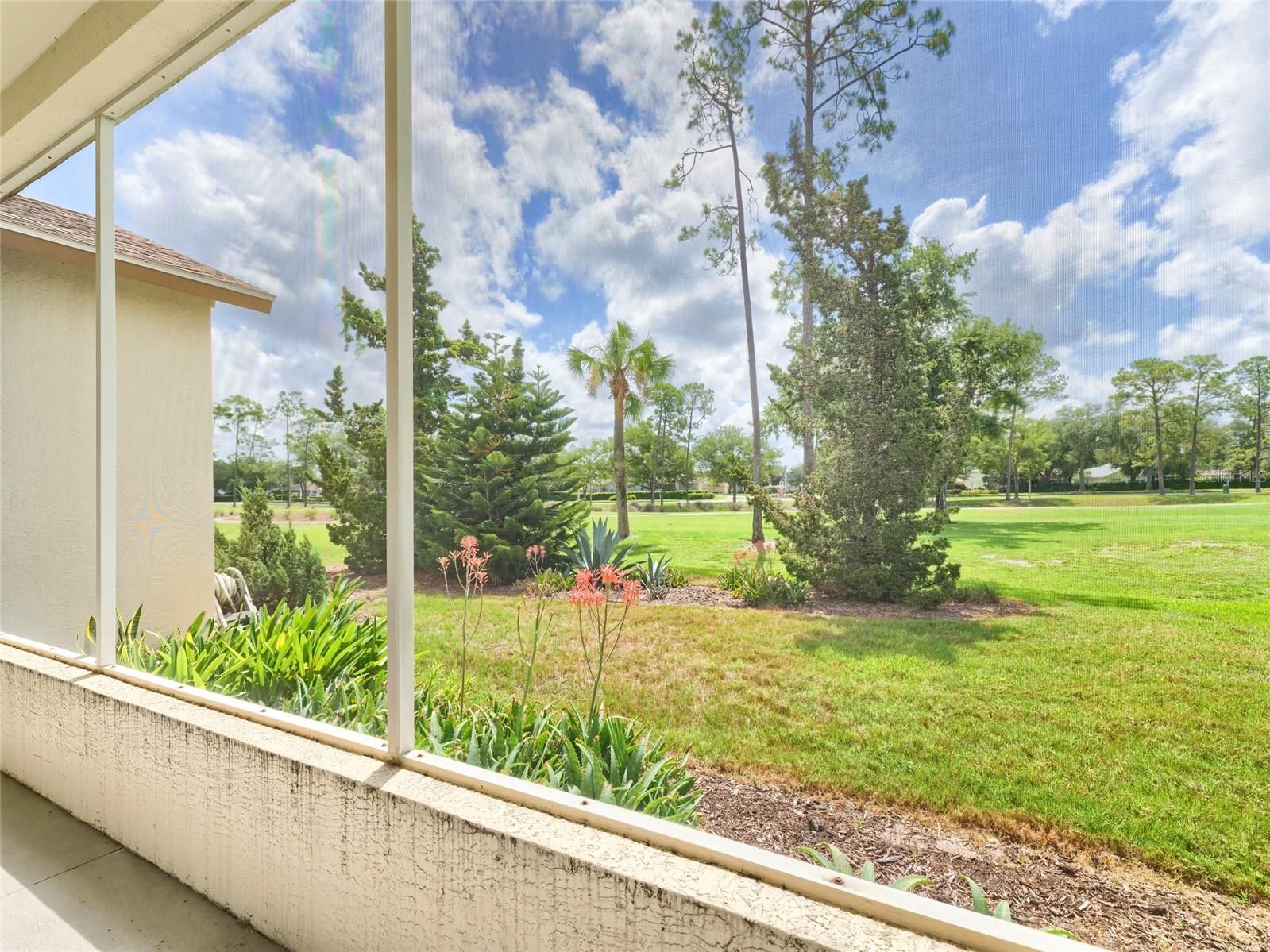 11228 Windrush Cir Property Photo 14