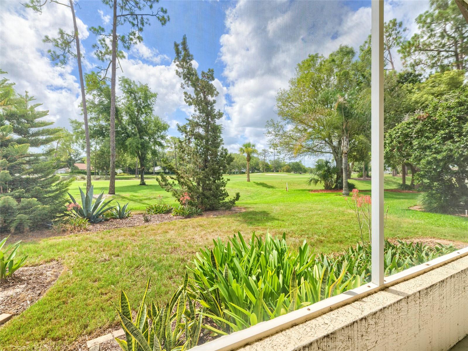 11228 Windrush Cir Property Photo 36