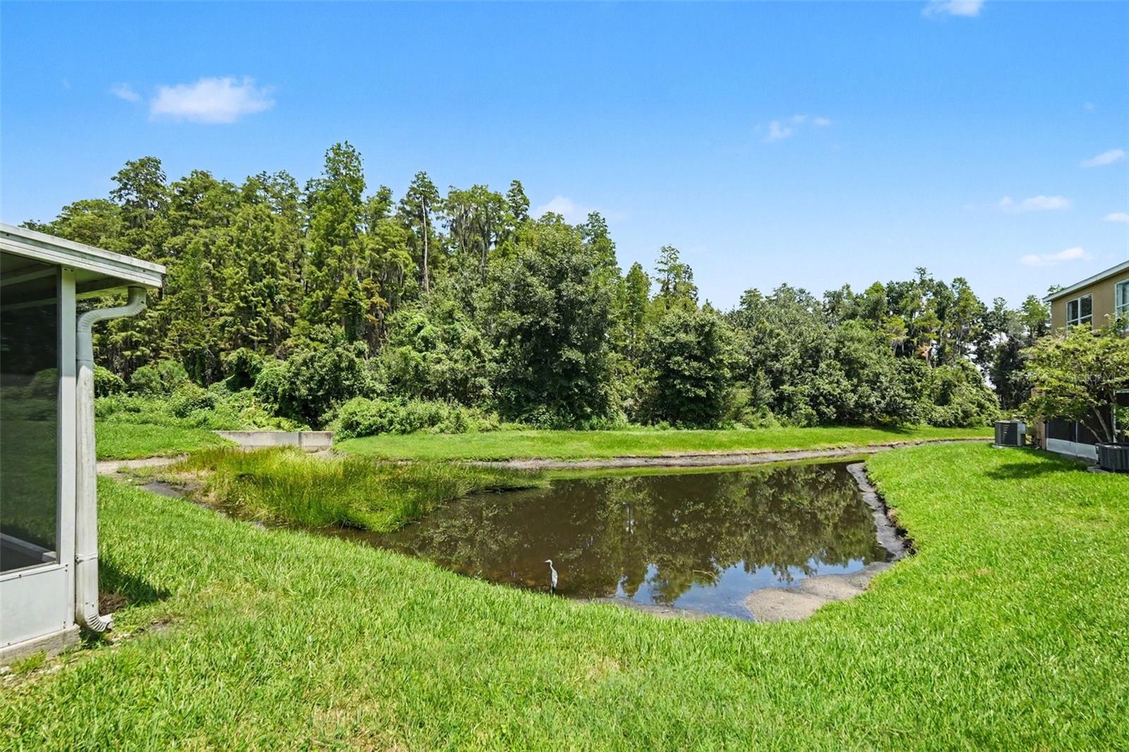 30153 Barnaby Ln Property Photo 37