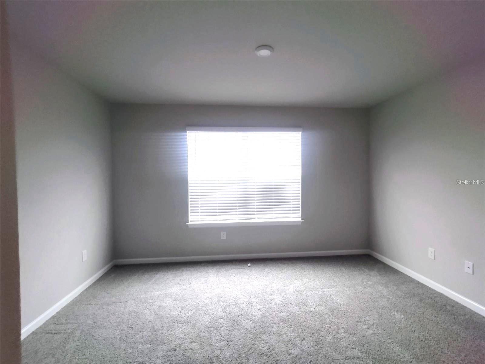 26010 Woven Wicker Bnd Property Photo 9
