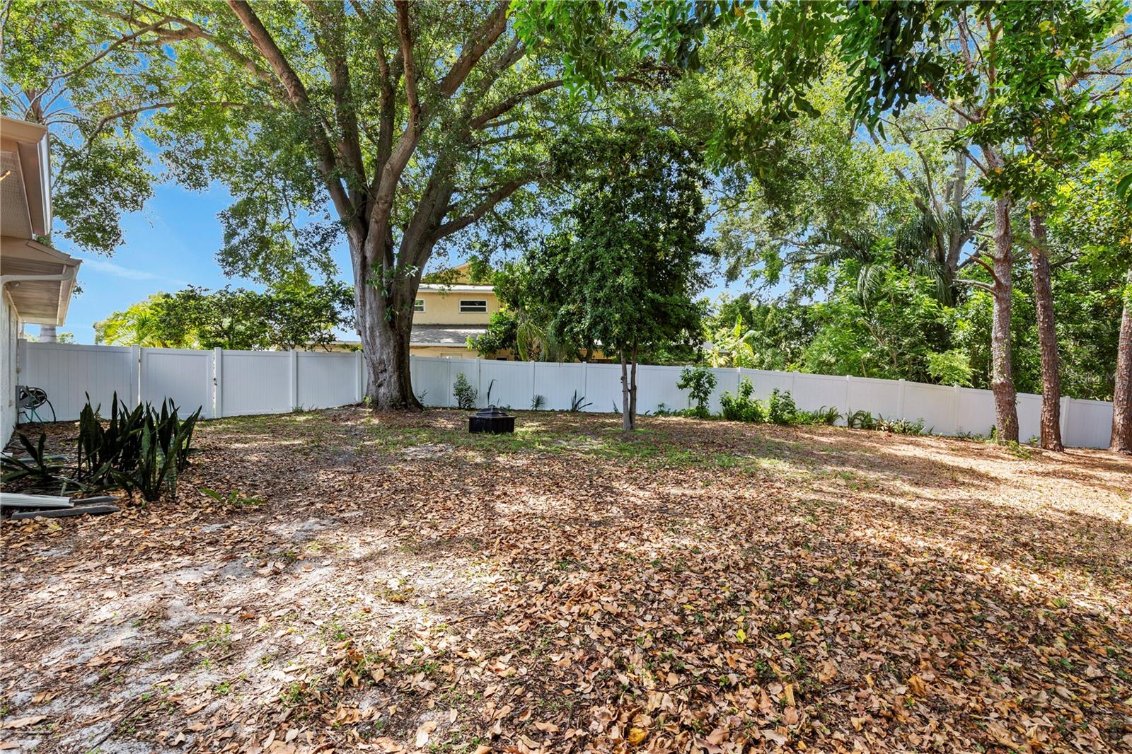 3153 Carlos Dr Property Photo 35