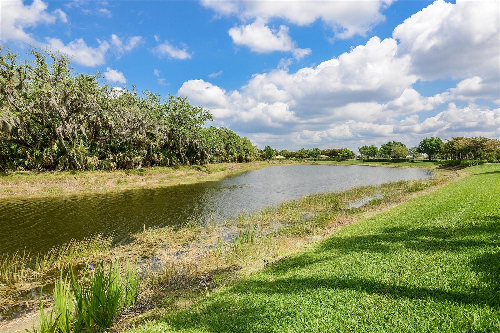 3099 Heritage Pines Dr Property Photo 45
