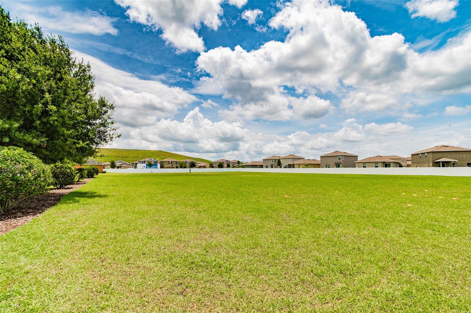 14217 Alistar Manor Dr Property Photo 60