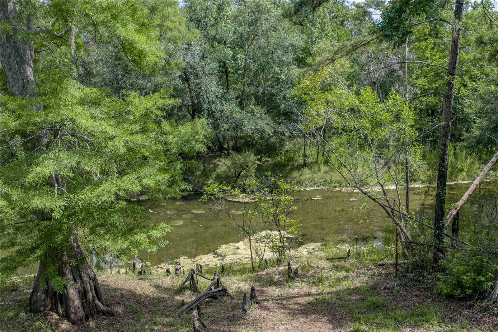 33065 Cedonia Rd Property Photo 37