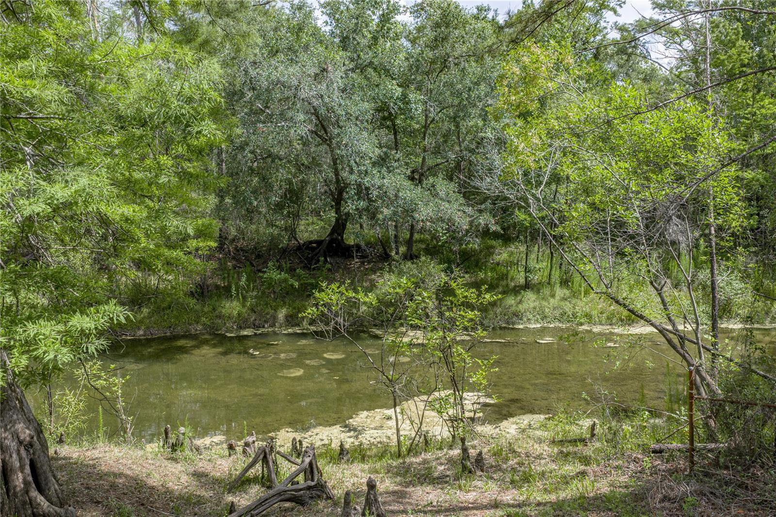 33065 Cedonia Rd Property Photo 38