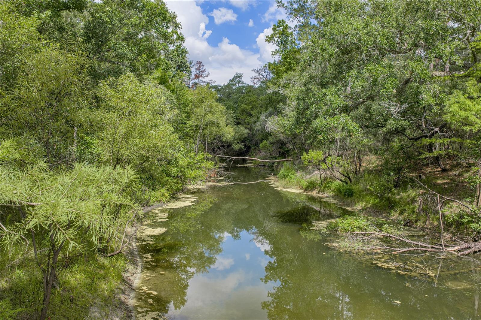 33065 Cedonia Rd Property Photo 39