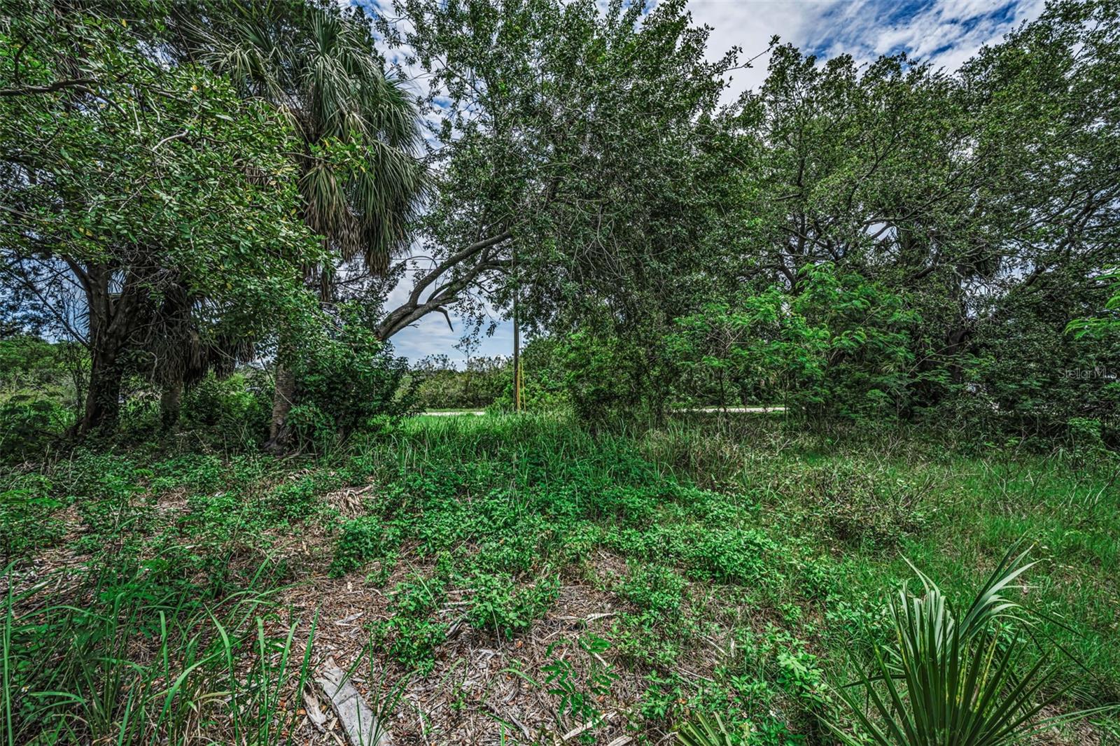 Lot 15 Rice Rd Property Photo 12