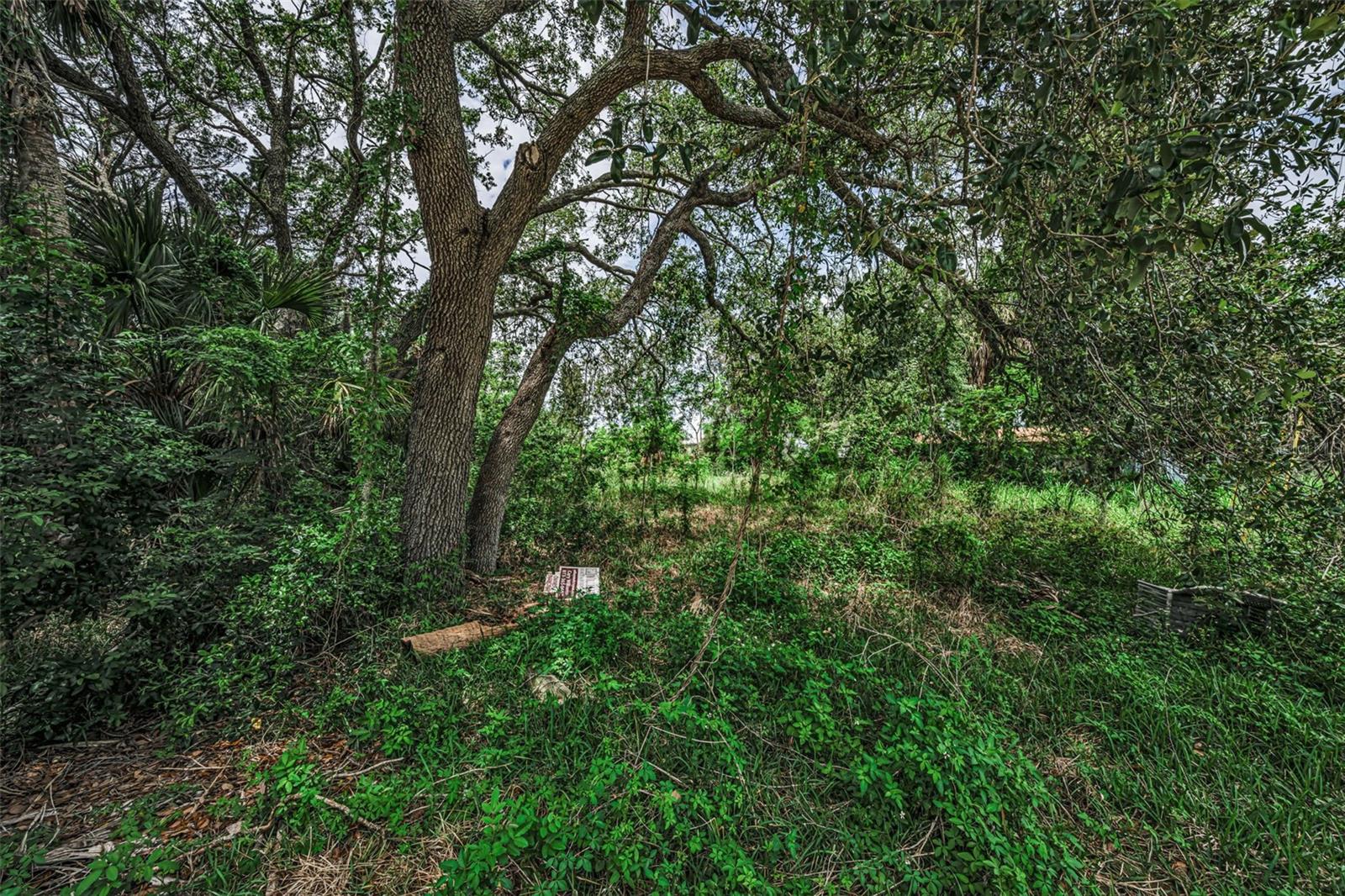 Lot 15 Rice Rd Property Photo 18