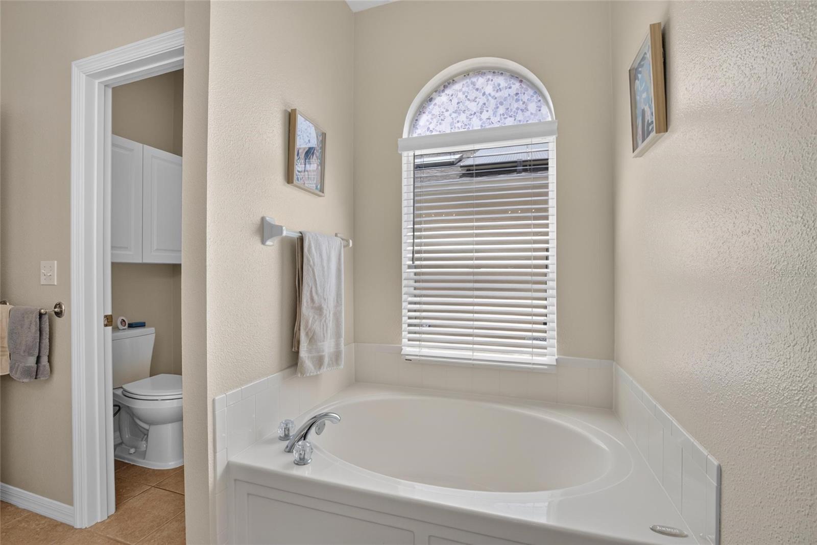 11115 Silver Dancer Dr Property Photo 24