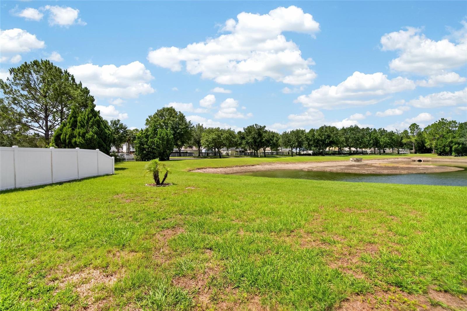 11115 Silver Dancer Dr Property Photo 33