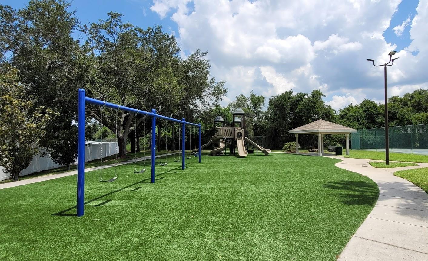 11115 Silver Dancer Dr Property Photo 47