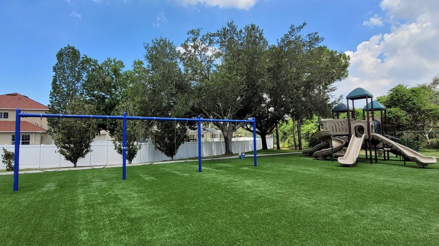 11115 Silver Dancer Dr Property Photo 49