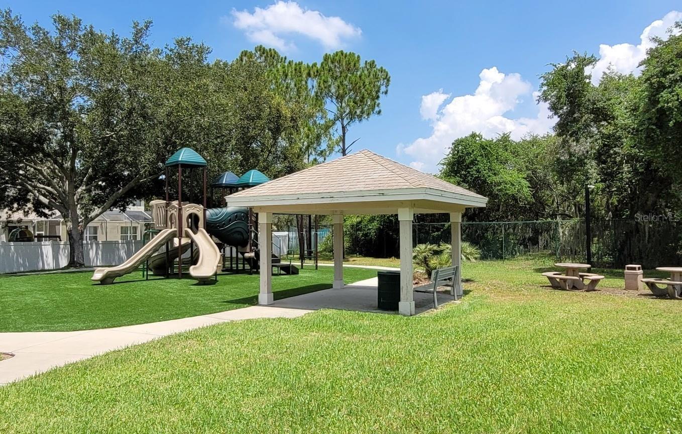 11115 Silver Dancer Dr Property Photo 50