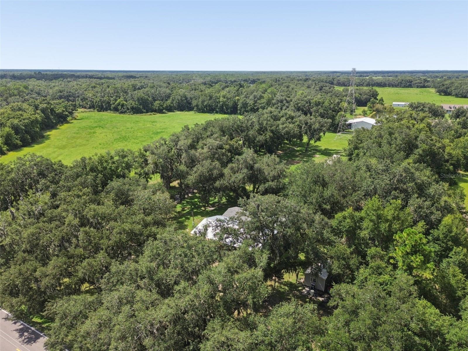 4920 W Knights Griffin Rd Property Photo 65