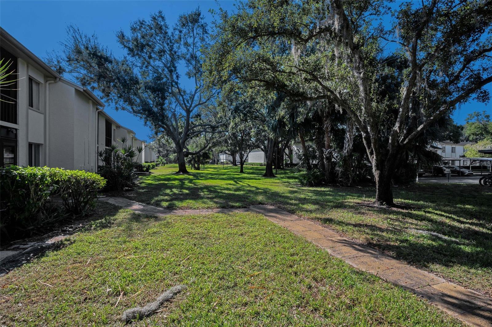 110 Cypress Ct #3-82 Property Photo 31