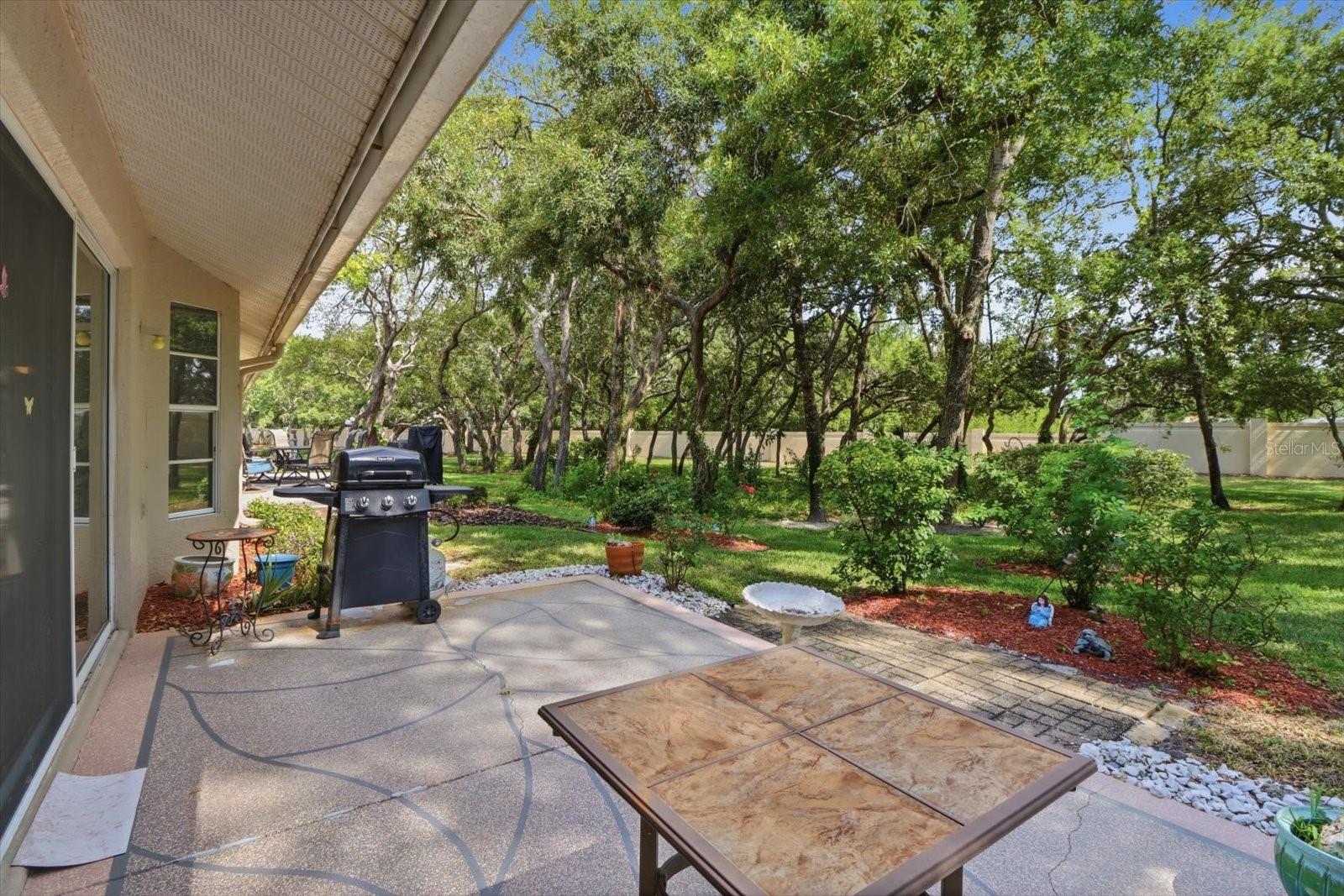 8012 Willow Brook Dr Property Photo 27