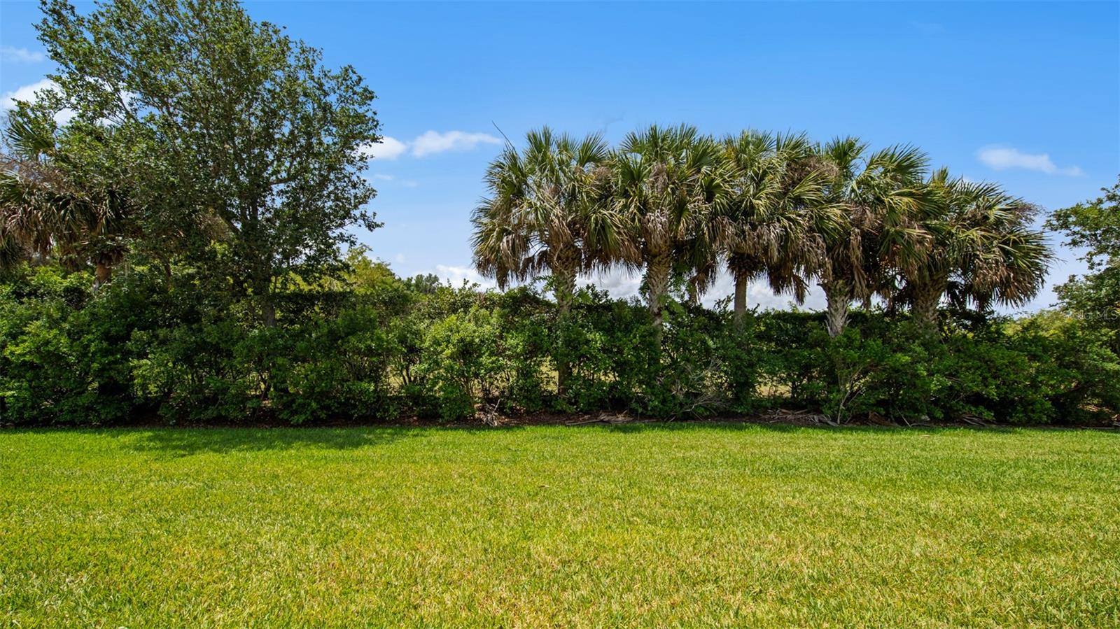 11540 Verandah Palm Ct Property Photo 25