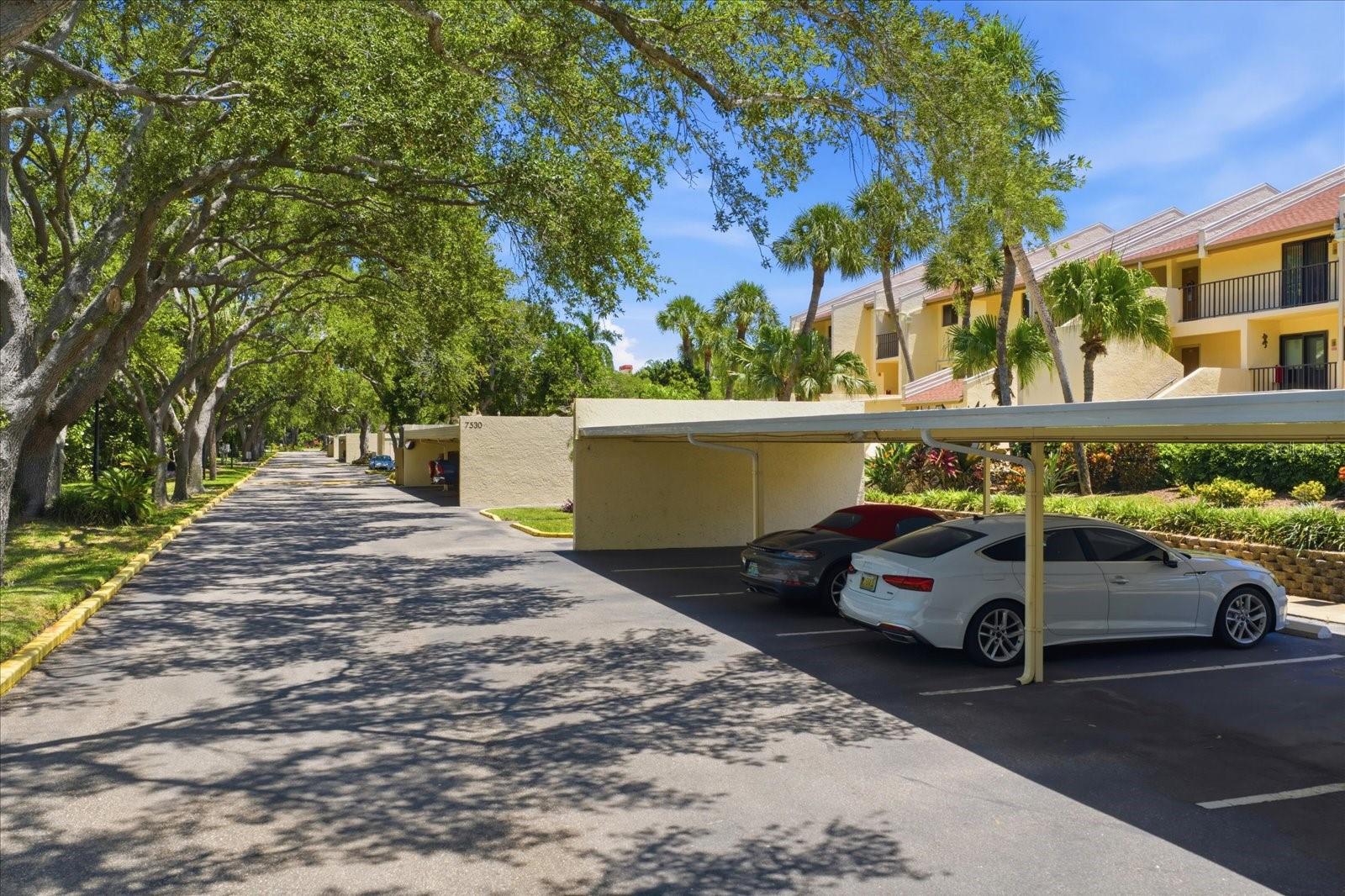 7530 Sunshine Skyway Ln S #t30 Property Photo 19