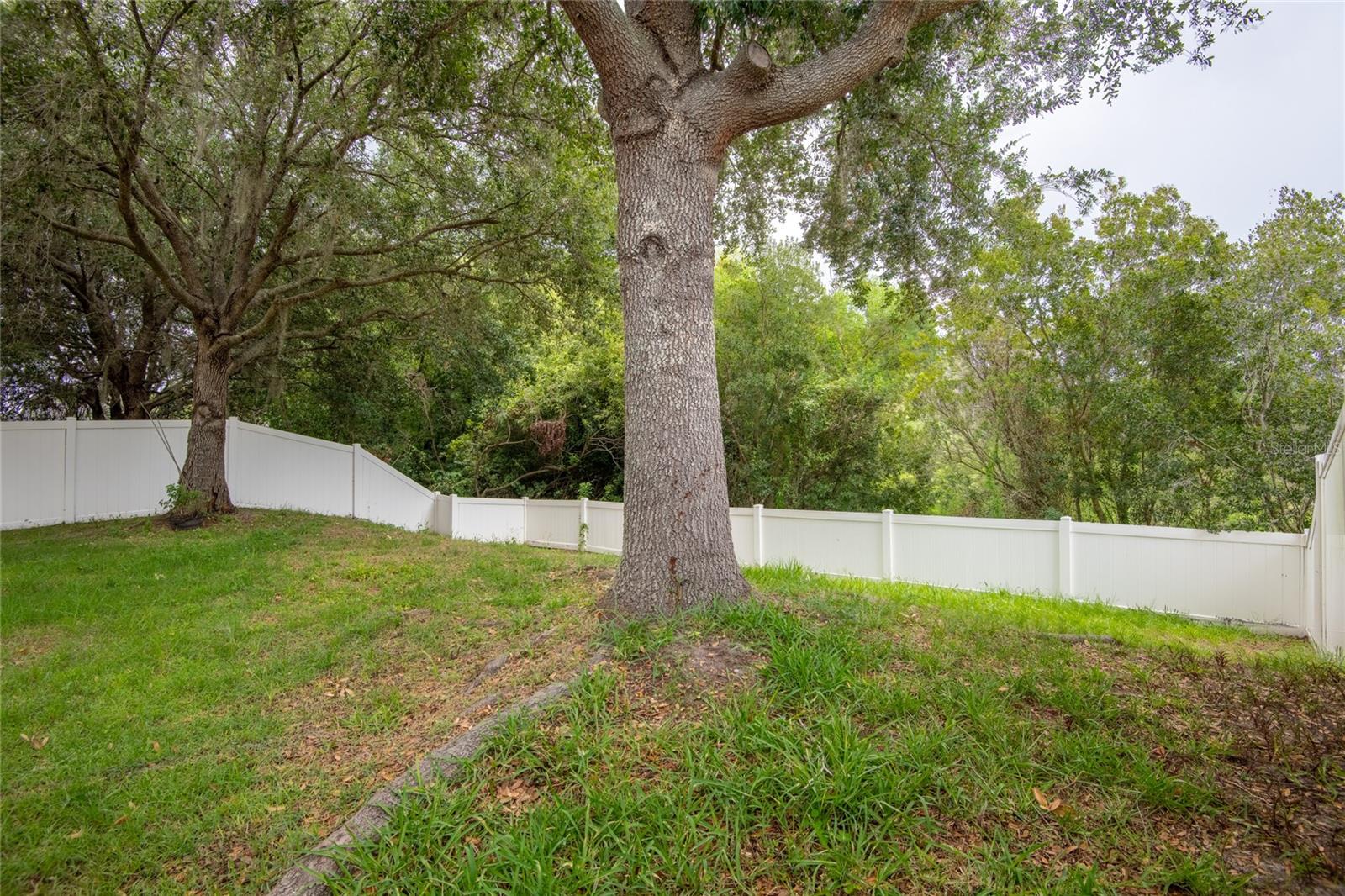 3142 Bellericay Ln Property Photo 35