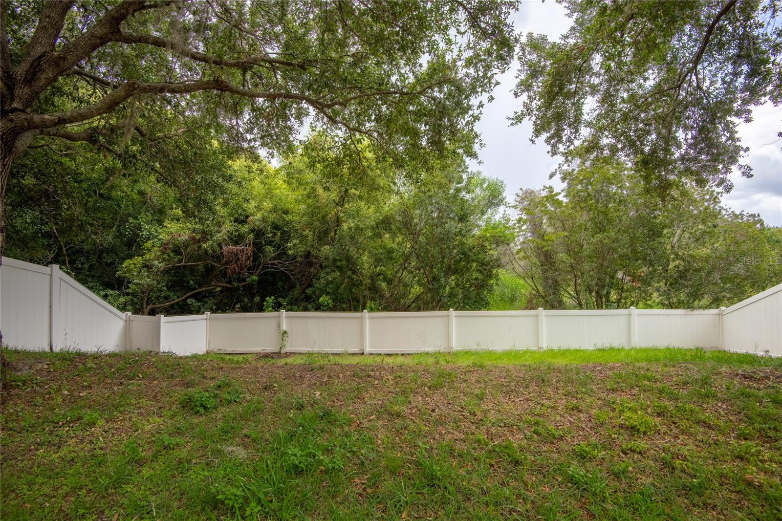 3142 Bellericay Ln Property Photo 36
