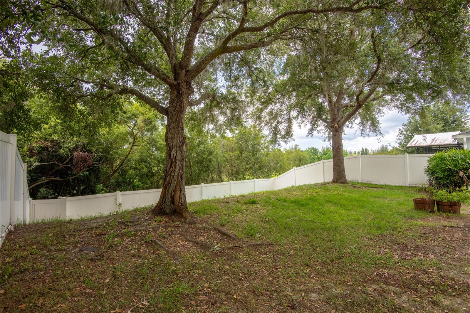 3142 Bellericay Ln Property Photo 37