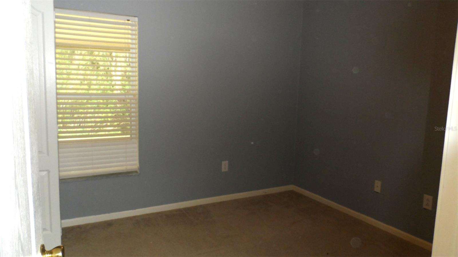 30709 Lanesborough Cir Property Photo 17