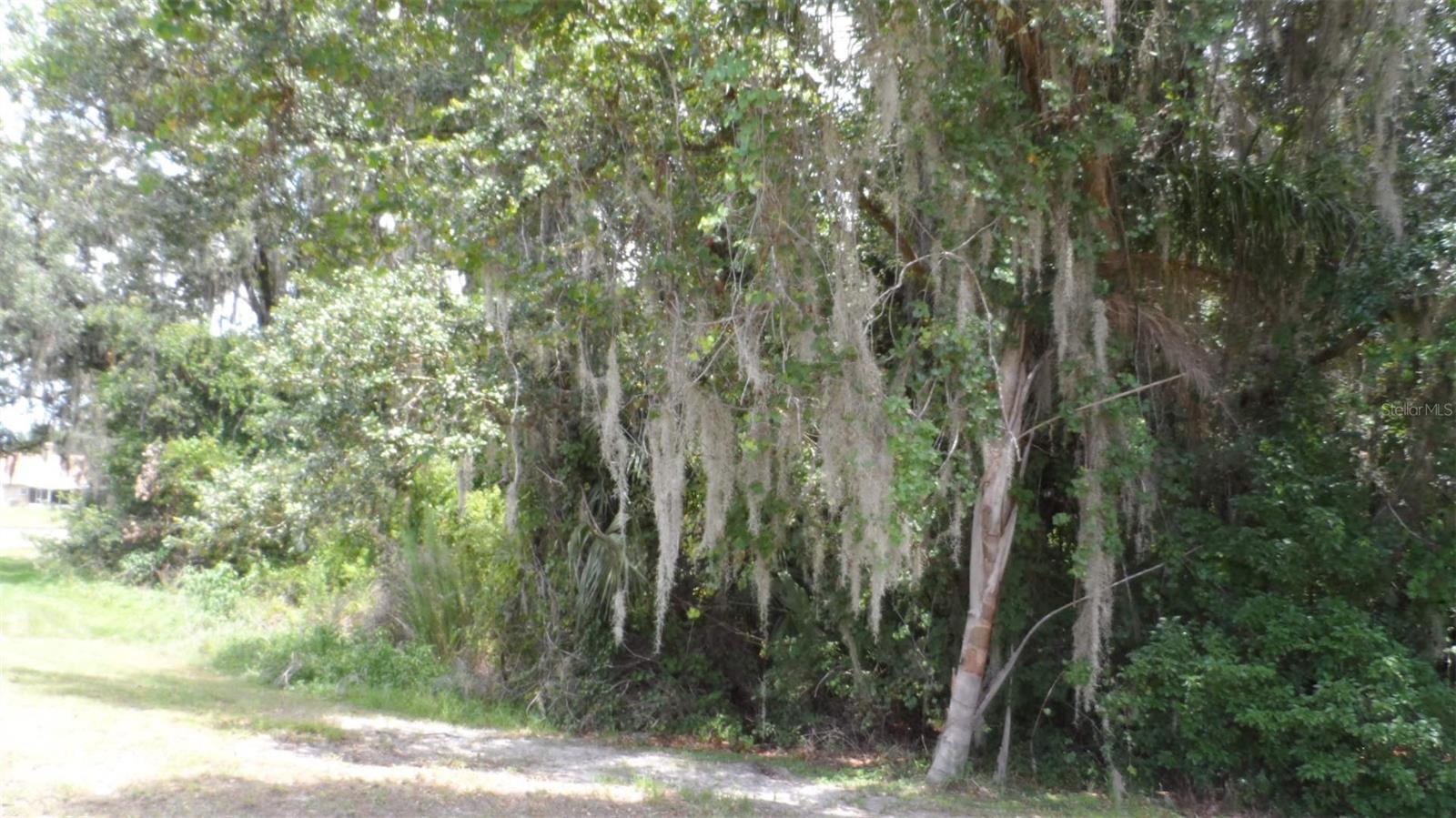 30709 Lanesborough Cir Property Photo 24