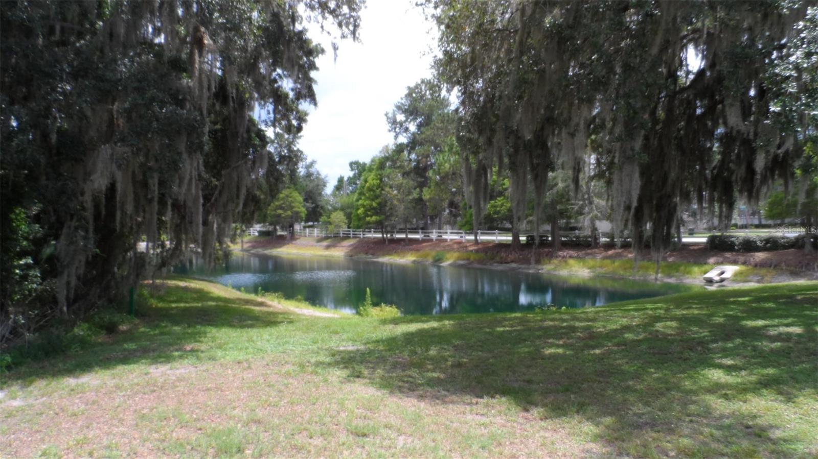 30709 Lanesborough Cir Property Photo 25