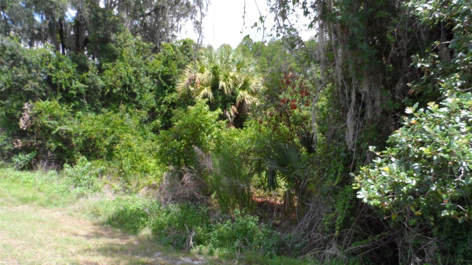 30709 Lanesborough Cir Property Photo 26