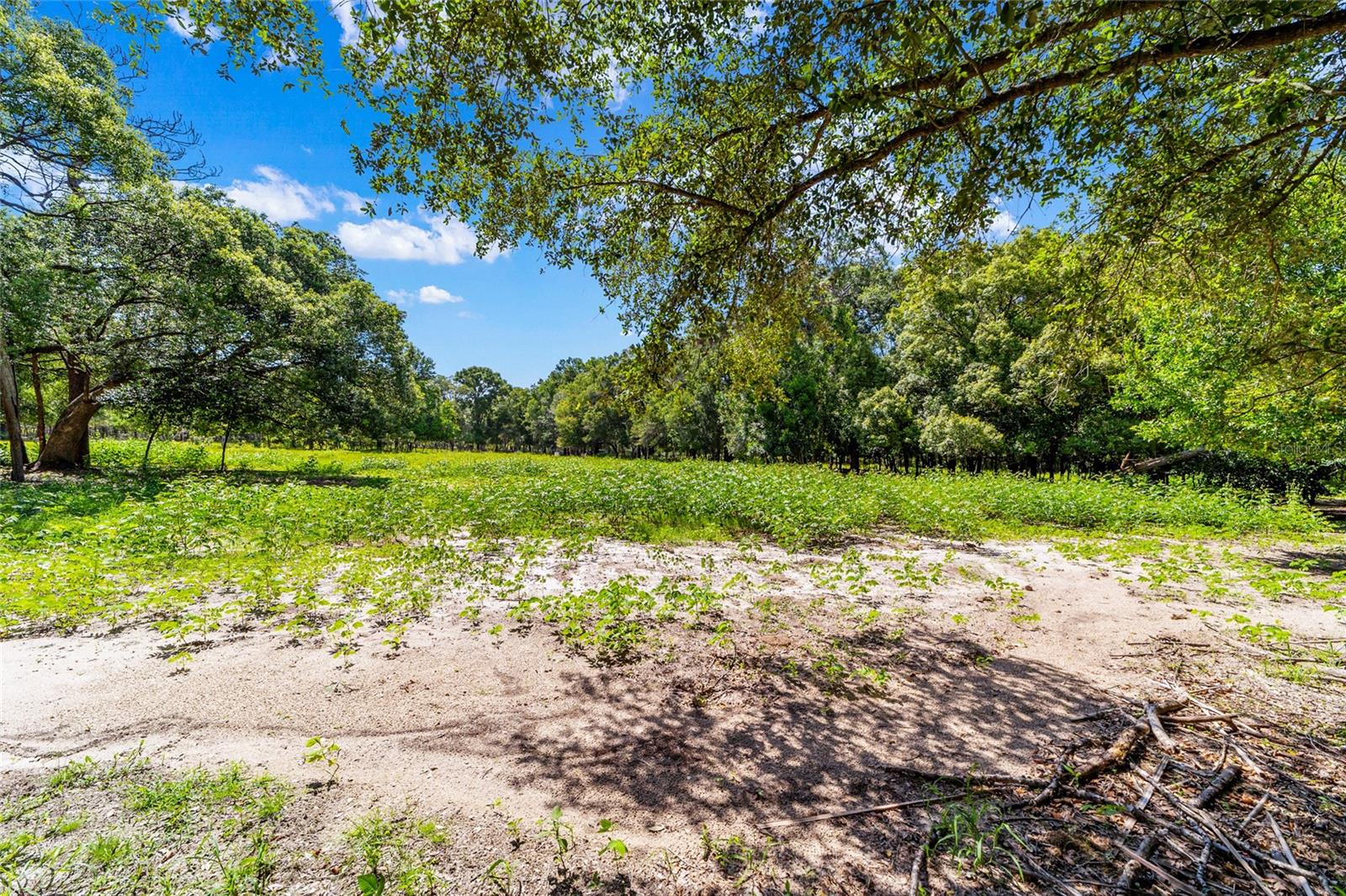 11768 N Gatlen Ave Property Photo 27