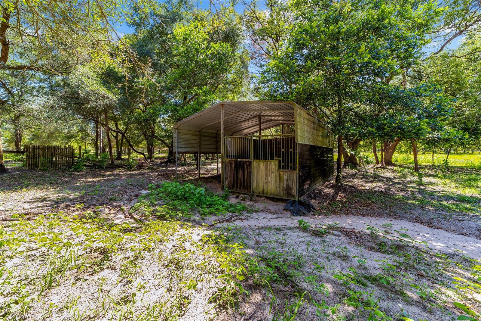 11768 N Gatlen Ave Property Photo 28