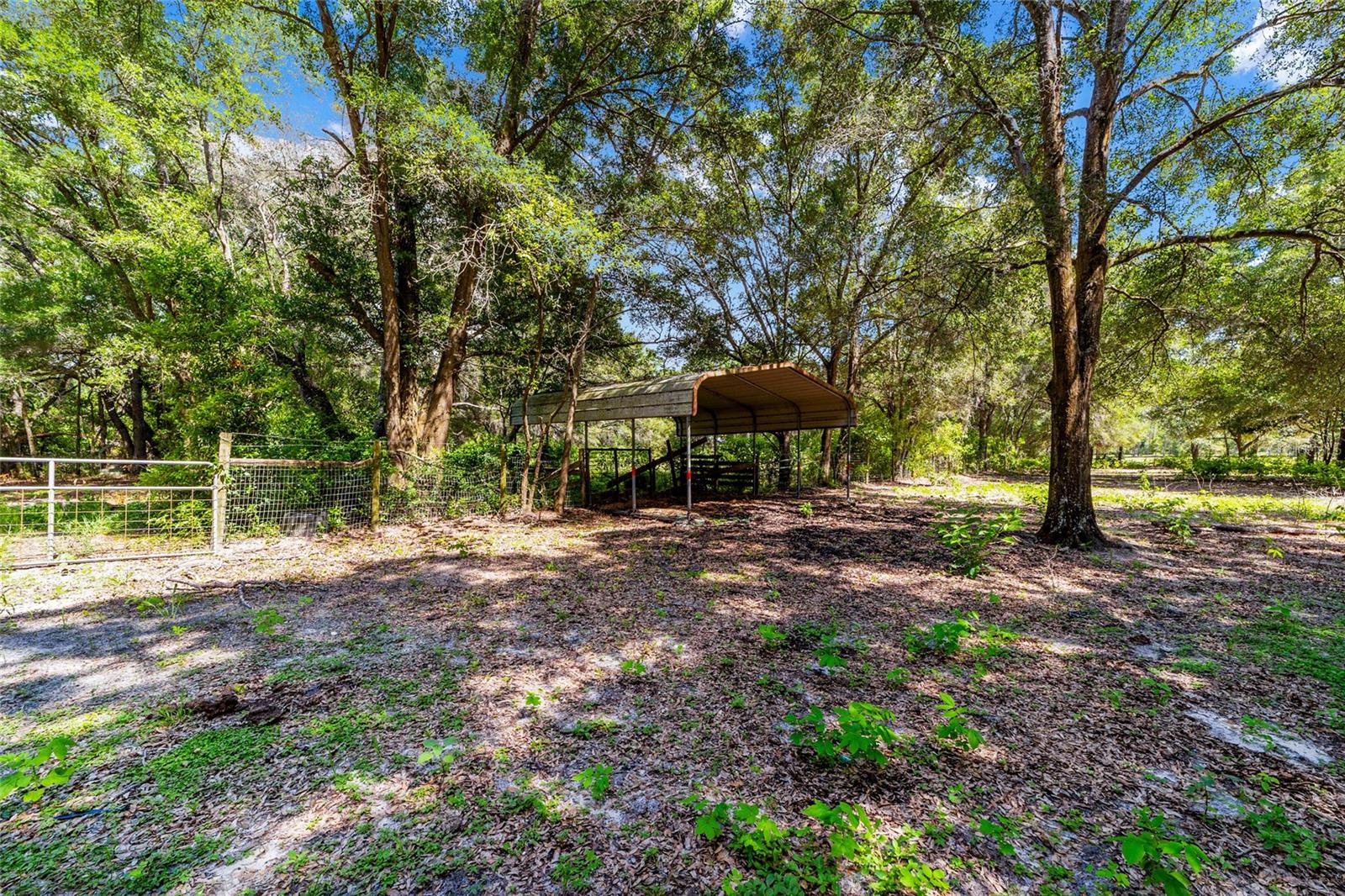 11768 N Gatlen Ave Property Photo 31