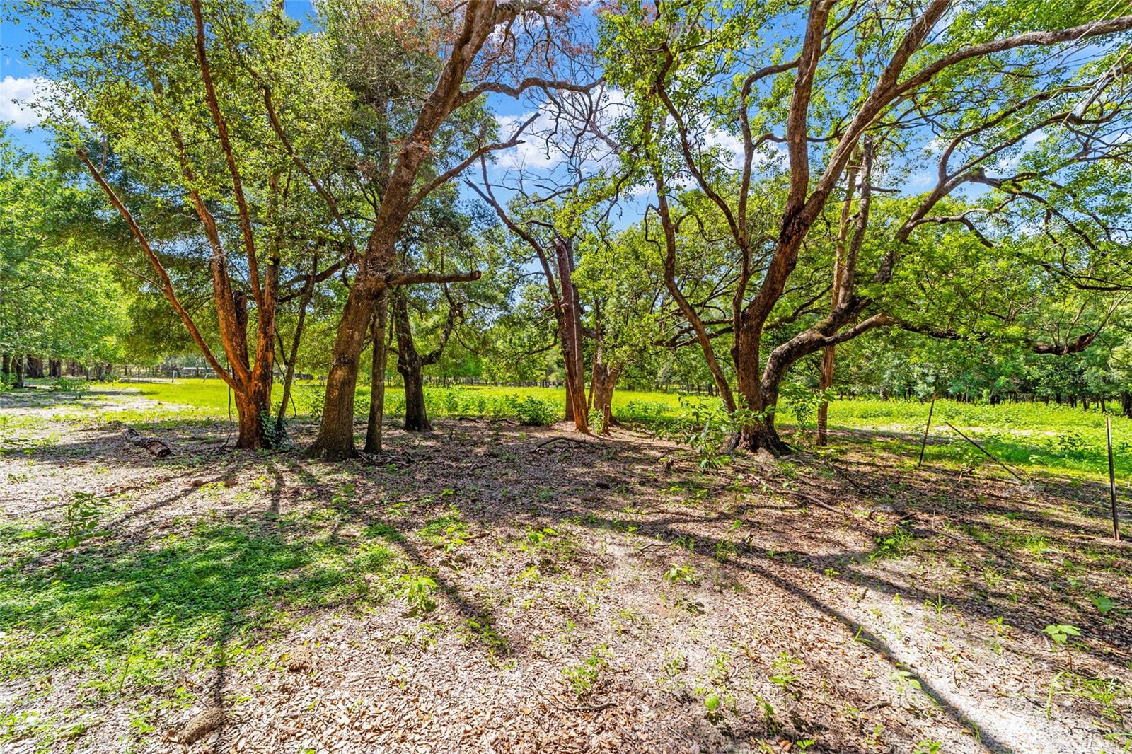 11768 N Gatlen Ave Property Photo 32