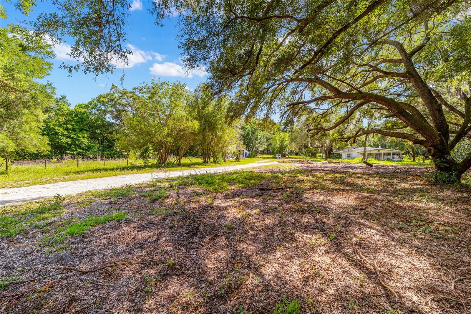 11768 N Gatlen Ave Property Photo 39