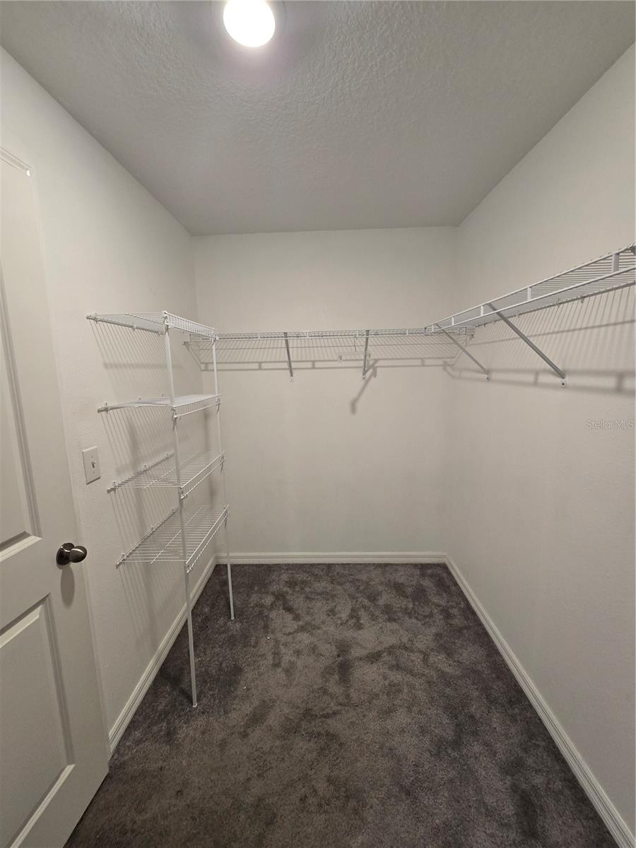 838 Olive Conch St Property Photo 10