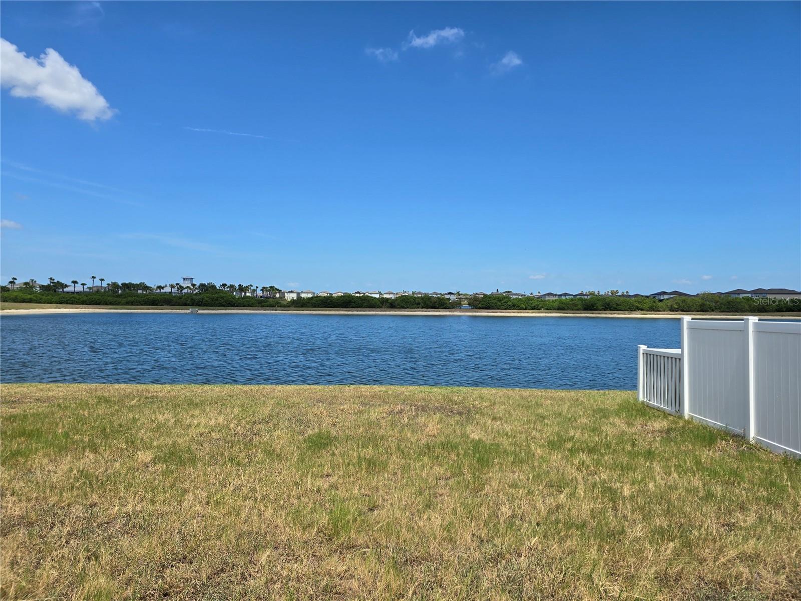 838 Olive Conch St Property Photo 11
