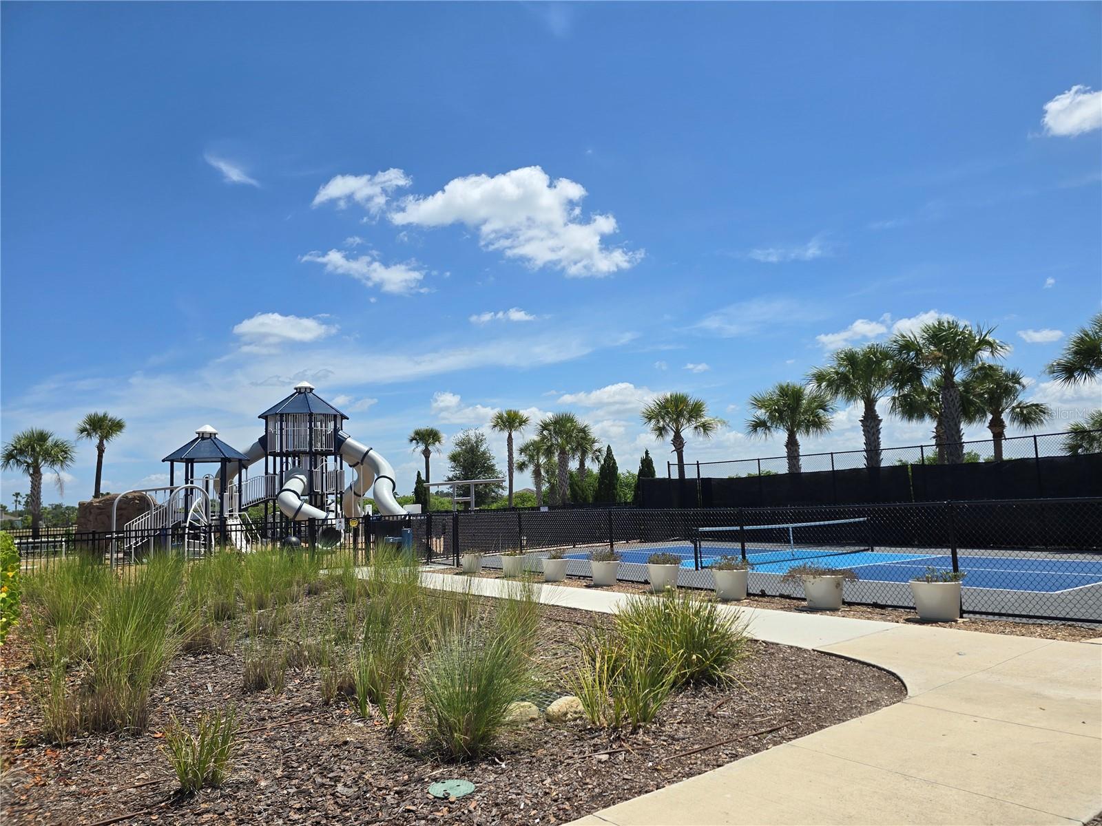 838 Olive Conch St Property Photo 15