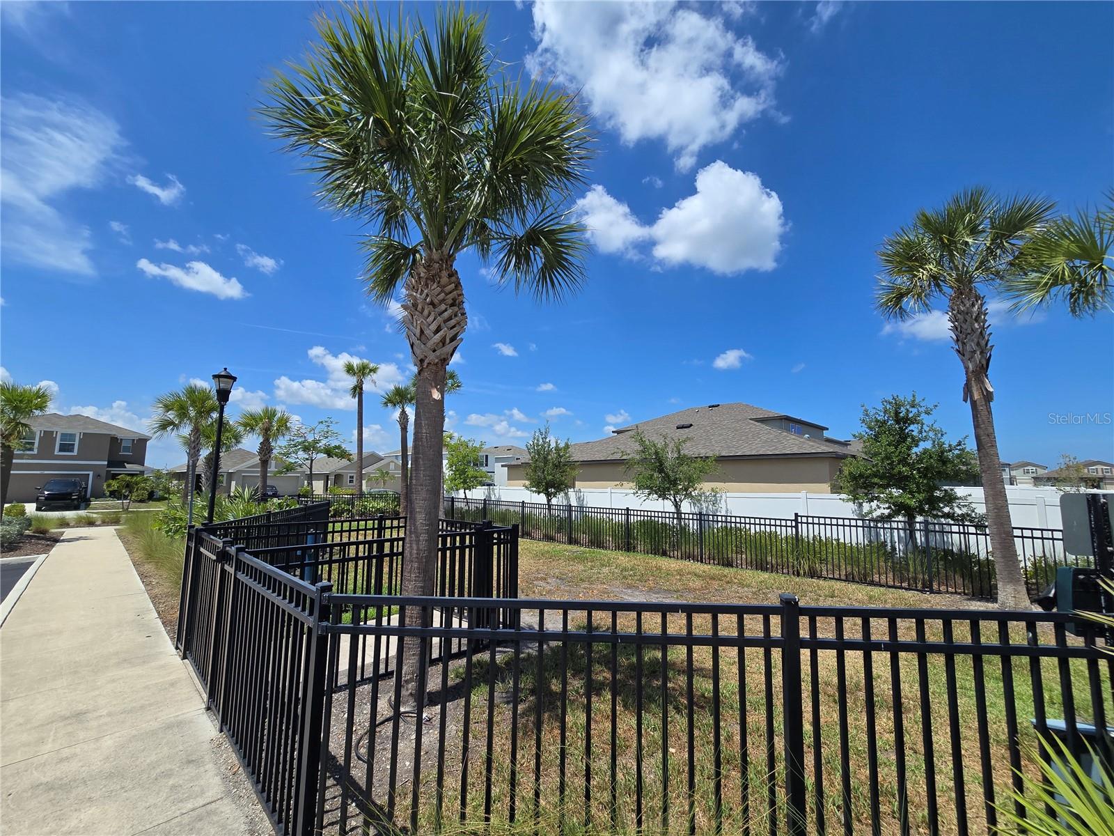 838 Olive Conch St Property Photo 16