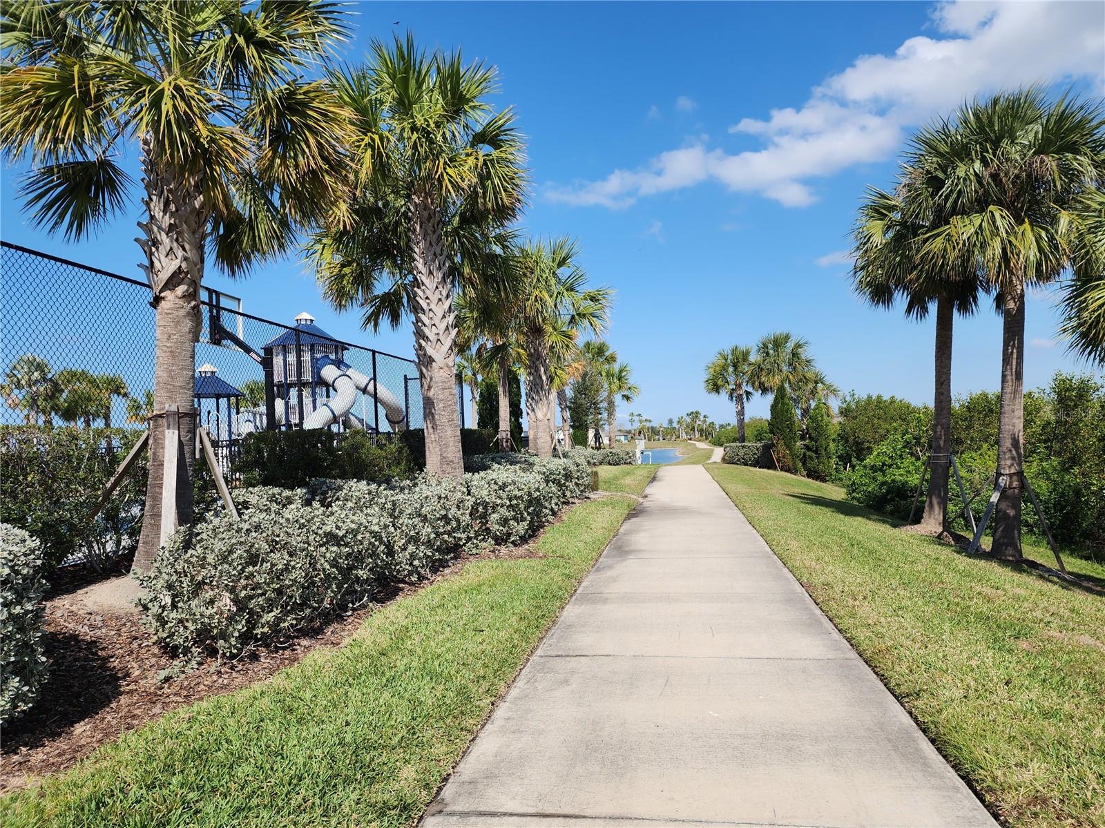 838 Olive Conch St Property Photo 19