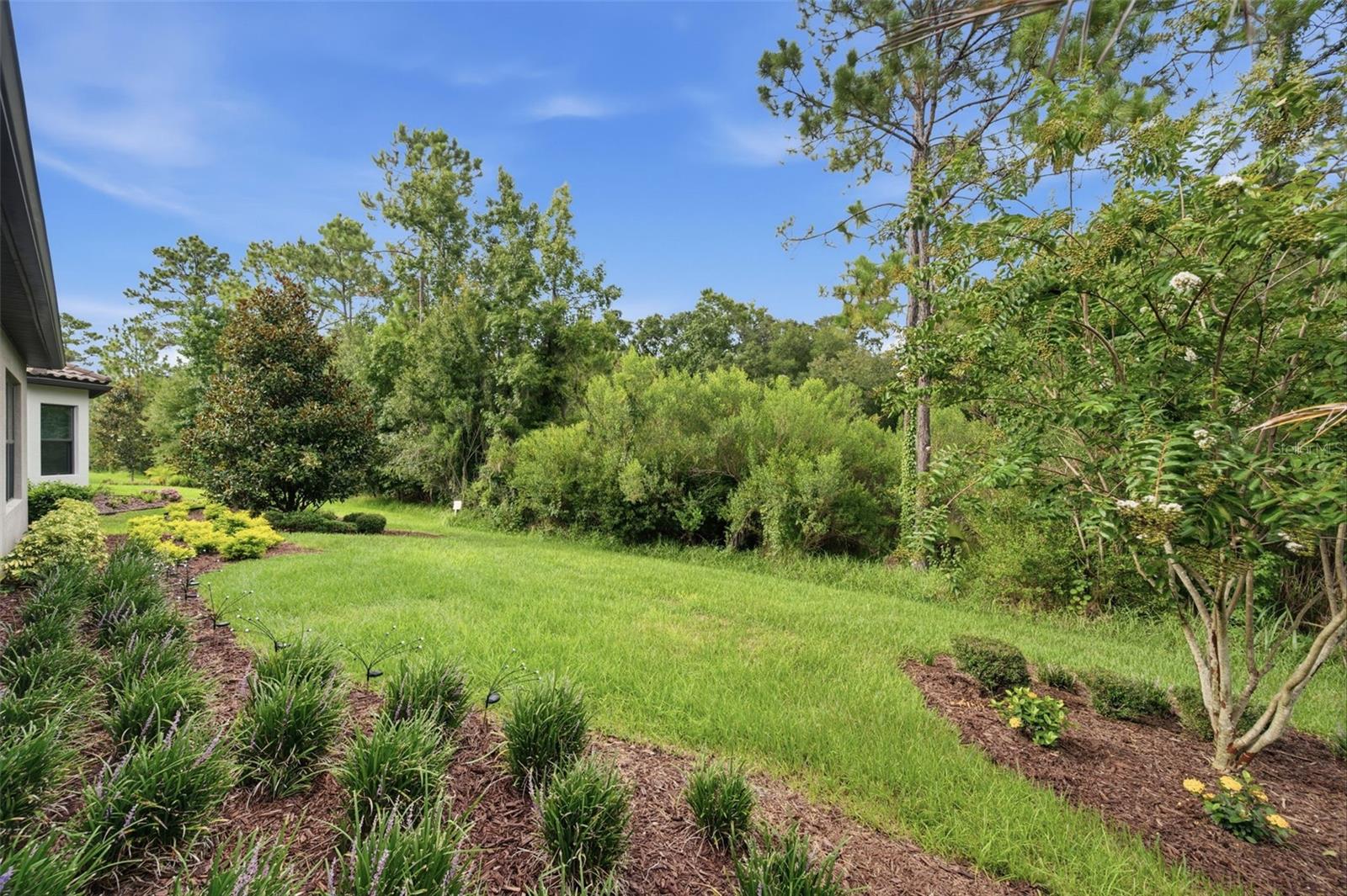 20117 Umbria Hill Dr Property Photo 48