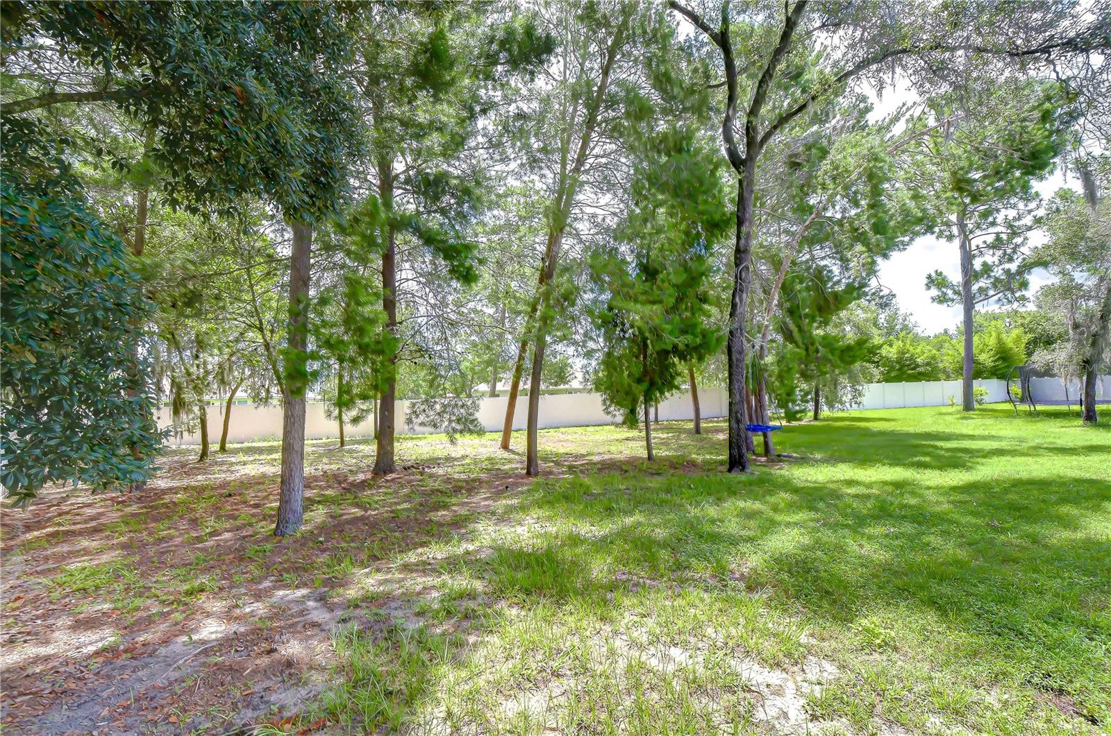 3358 Ponytail Ct Property Photo 3